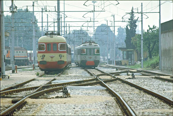 Bologna Cintura