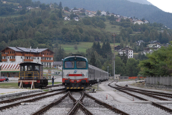 D.445 in Cadore