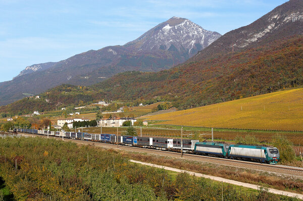 Tra un meleto e una vigna...