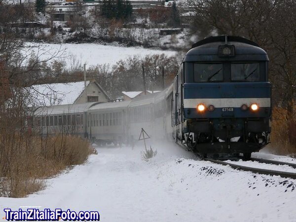 Train des Neiges