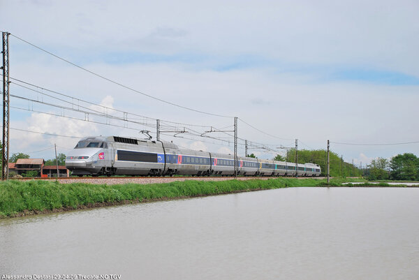 TGV tra le risaie