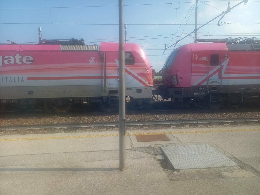 Lady pink.jpg