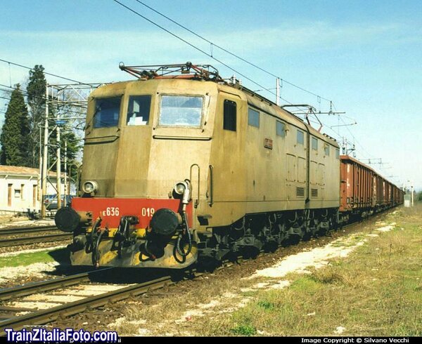 E636.019