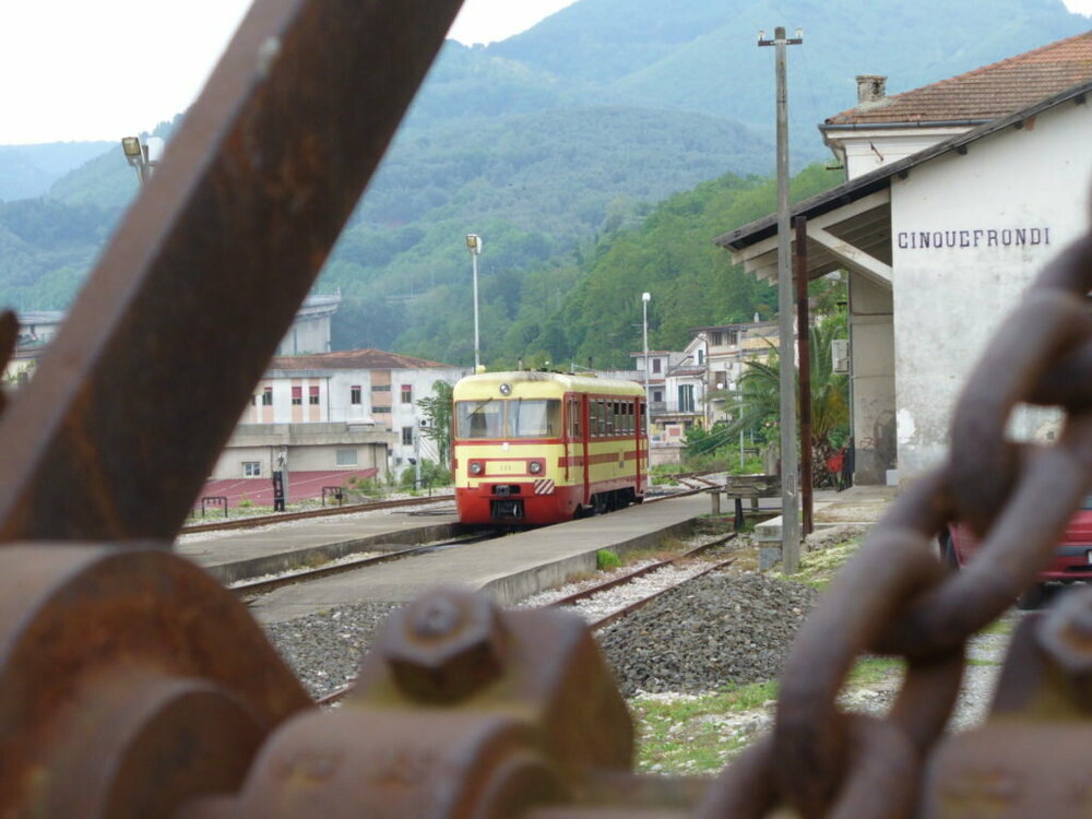 cinquefrondi.thumb.jpg.3ed43df1713b3d846bcec97b8f4877fc.jpg
