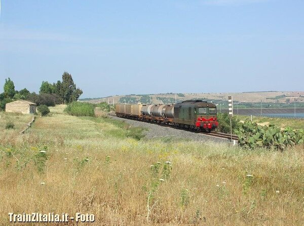 D443.1007 Palagonia
