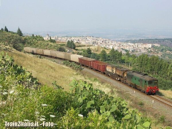 D443.1007