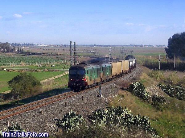 D443.1026 e 1016 a Passomartino