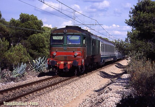 D445.1007