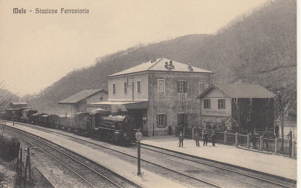 470_Mele-1910.thumb.jpg.5df35ffa13164b0c76e2cbc42c5c8d14.jpg
