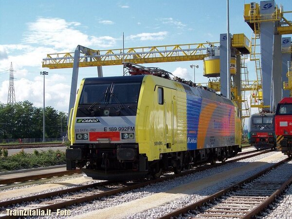 E189 992 livrea "European Bulls"